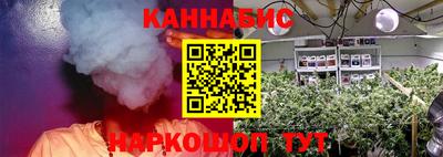 крисы Азнакаево